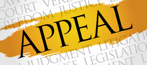 The Constitutional Primacy of the Right of Appeal: Resolving the Jurisdictional Lacuna in High Court Succession Proceedings The Constitutional Primacy of the Right of Appeal: Resolving the Jurisdictional Lacuna in High Court Succession Proceedings